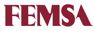 FEMSA